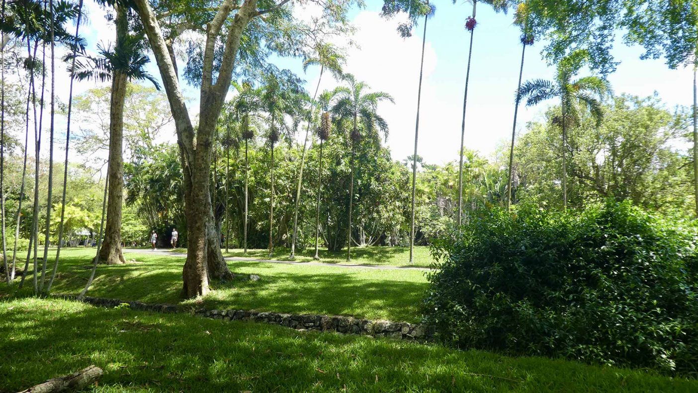 Visiter le Jardin de Pamplemousses à l'Ile Maurice - Carnets Vanille