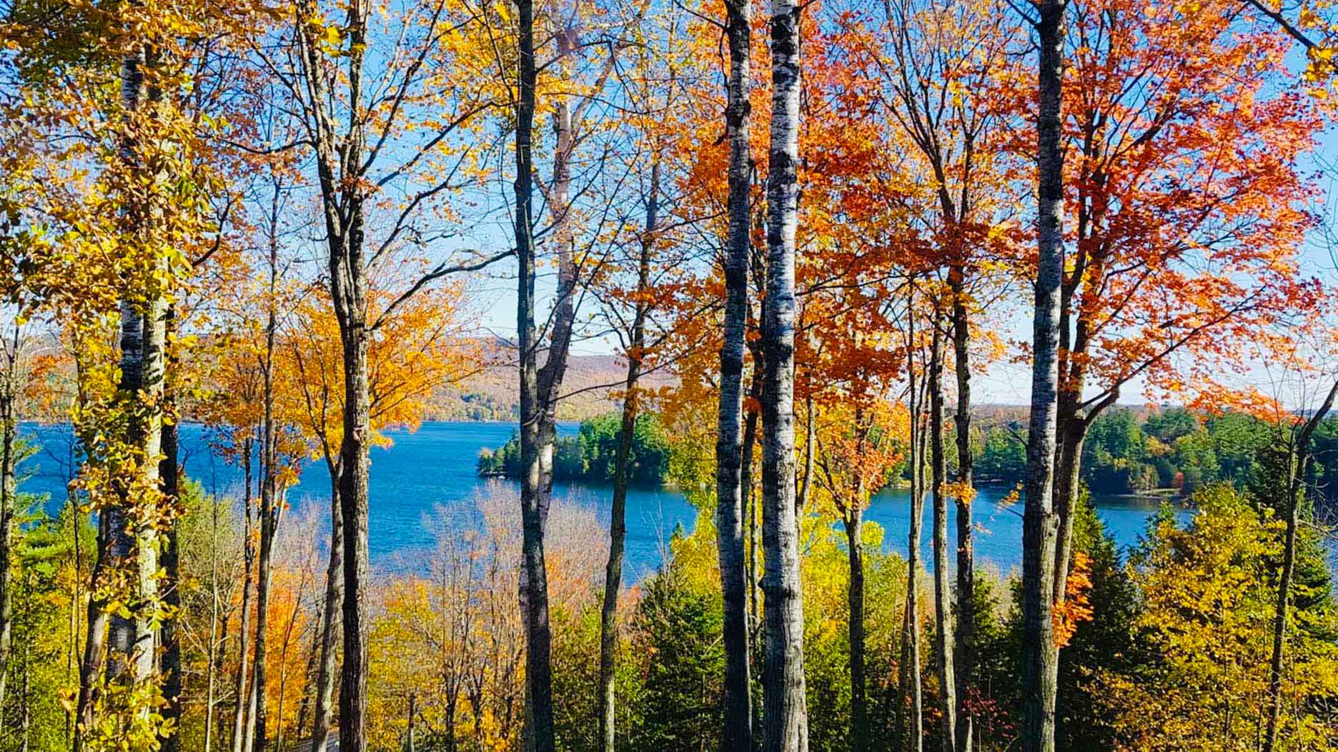 lac et foret à l'automne au quebec