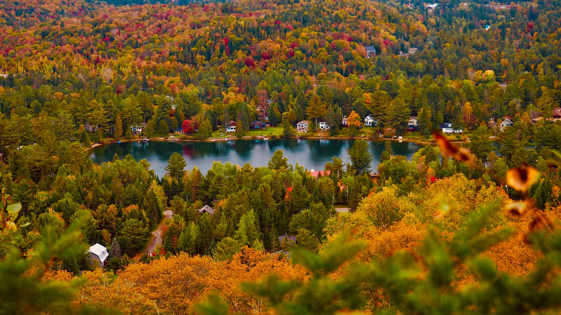 lake in the middle of the forest in Quebec during autumn