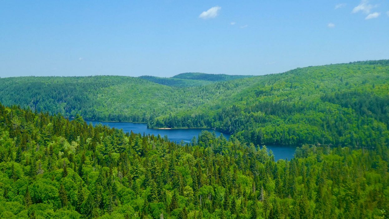 Parc De La Mauricie : Mes Conseils Pour Profiter Du Parc - Carnets Vanille