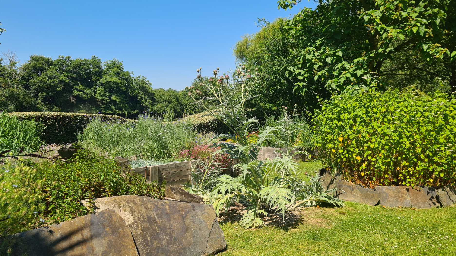 jardin au restaurant le coquillage à Cancale